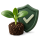 Защита растений Syngenta