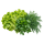 Салат и зелень