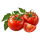 Томат Седек