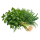 Зелень Bejo