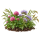 Кормовые, медоносы, сидераты