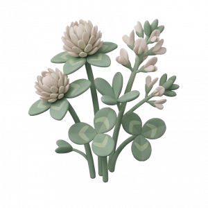 Кормовые, медоносы, сидераты