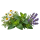 Лекарственные и пряные травы