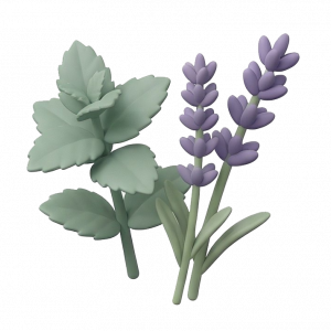 Лекарственные и пряные травы