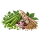 Бобовые