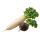 Редька и дайкон