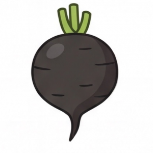 Редька и дайкон