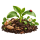 Экологическое земледелие Agrobest Grup