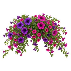 Ампельная и каскадная