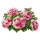 Бахромчатая/махровая