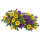 Калибрахоа