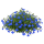 Лобелия