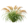 Злаки