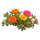 Портулак Sakata.Flowers