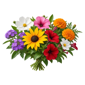 Однолетние Sakata.Flowers