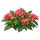 Пентас