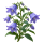 Колокольчик Sakata.Flowers