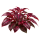 Ирезине