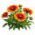 Гайлардия