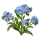 Незабудка