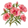 Годеция Sakata.Flowers
