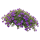 Обриета