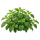 Мелисса