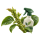 От тли SumiAgro