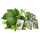 От мучнистой росы SumiAgro