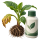 От фузариоза SumiAgro