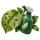 От пятнистостей SumiAgro