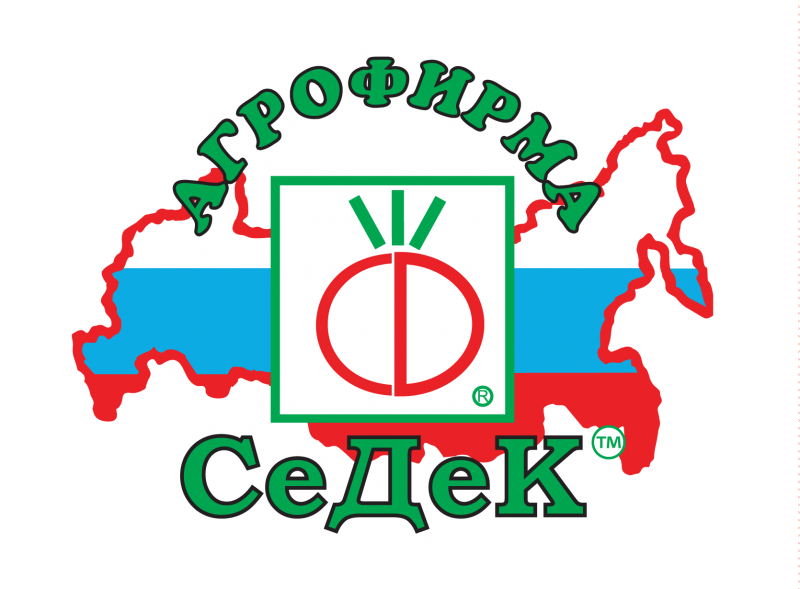 Седек