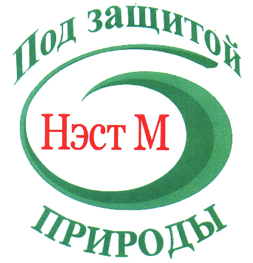 НЭСТ М