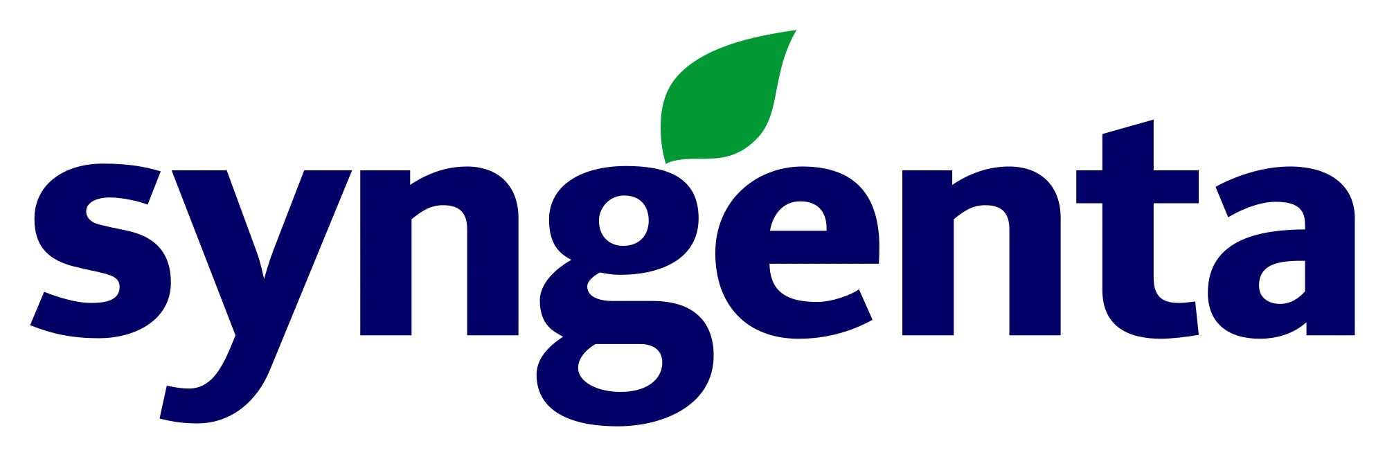 Syngenta семена