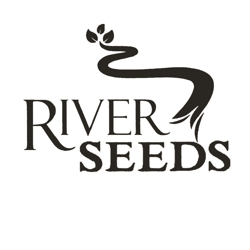 Rijder Seeds