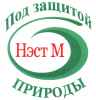 НЭСТ М
