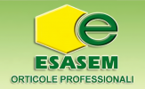 Esasem