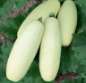 Кабачок Белоплодный Ролик, 5гр (фасовка)