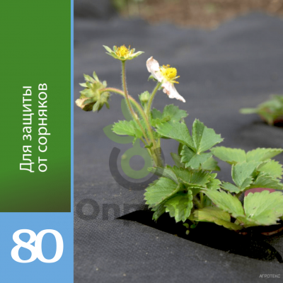 Агроволокно Агротекс Черный 80, (1,6м х 100м)