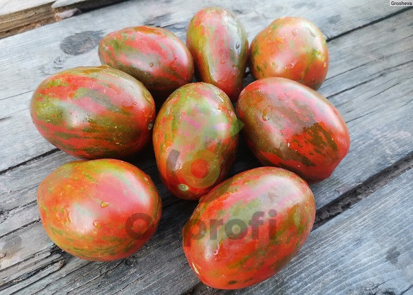 Томат Суперэкзотик, 0,5гр (фасовка)