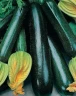 Кабачок Блэк Цуккини, 5гр (фасовка)