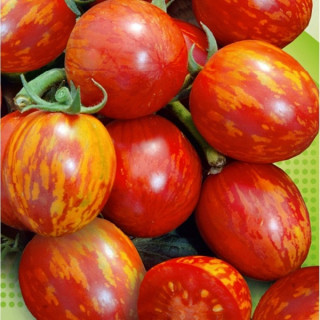 Томат Тигрелла, 0,5гр (фасовка)