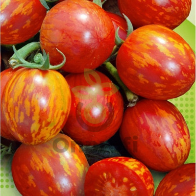 Томат Тигрелла, 0,5гр (фасовка)