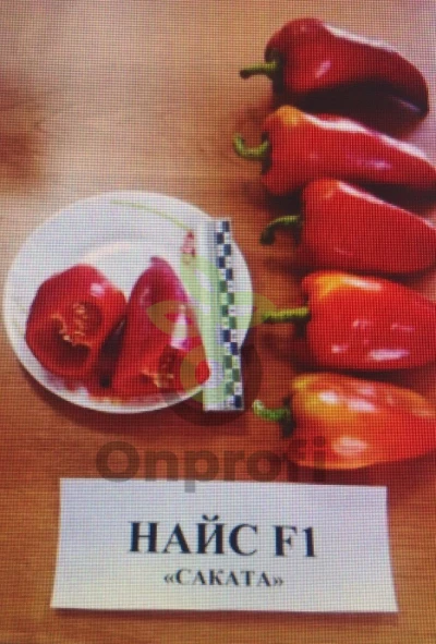 Перец Найс F1,