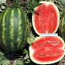 Арбуз Осман F1,