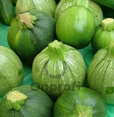 Кабачок Тинторетто, 5гр (фасовка)