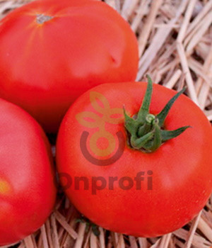 Томат Титан, 0,5гр (фасовка)