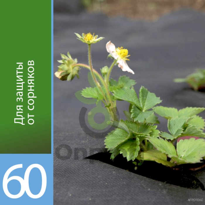Агроволокно Агротекс Черный 60 (с повышенным УФ), (1,6м х 200м)