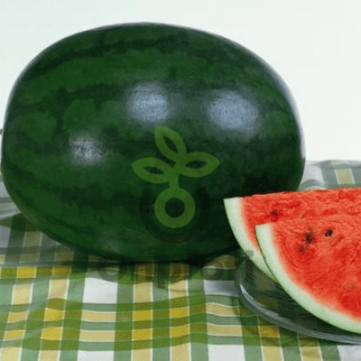 Арбуз Шуга Деликата,