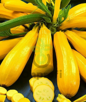 Кабачок цуккини Ананасный, 5гр (фасовка)